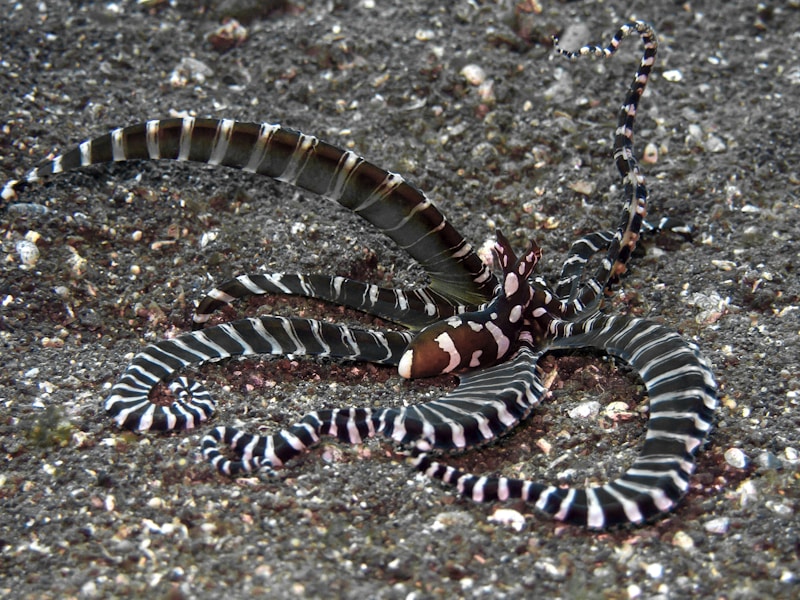 Earthworms in vermicompost bin breaking down organic waste into nutrient-rich castings